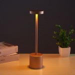 Charged Table LED Lamp with Type C, Modern Design Light, for Creating Atmosphere, KTV, Bar etc.