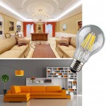 LED Edison Bulb 60W Equivalent, Non-Dimmable 6W A19 Filament Light